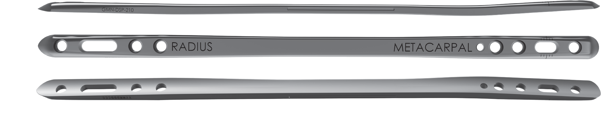 Dorsal Spanning Plate Diagram