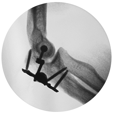 IJS X-Ray