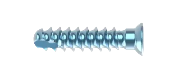 2.5 non-locking CoCr screw.