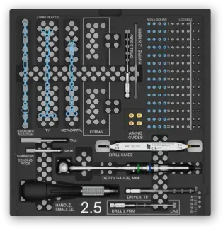 2.5 tray image for Protean® hand plating system.