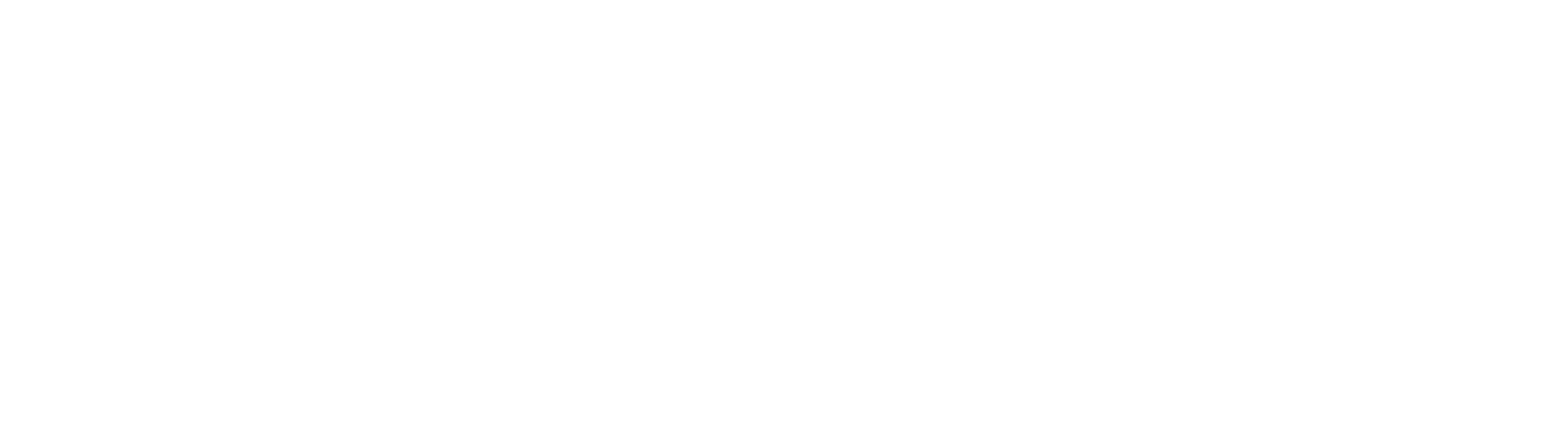 Skeletal Dynamics White Logo
